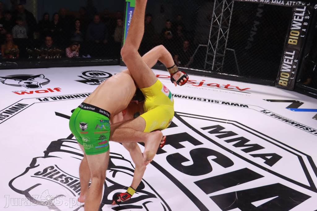 Fotorelacja: 19 Silesian MMA Zawiercie cz. 2