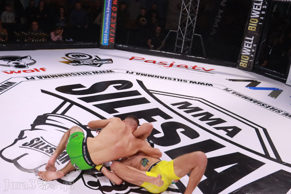 Fotorelacja: 19 Silesian MMA Zawiercie cz. 2