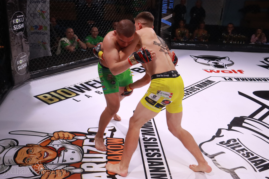 Fotorelacja: 19 Silesian MMA Zawiercie cz. 2
