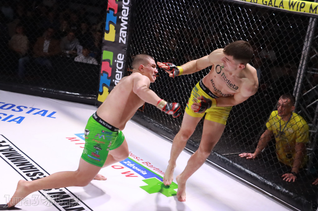 Fotorelacja: 19 Silesian MMA Zawiercie cz. 2