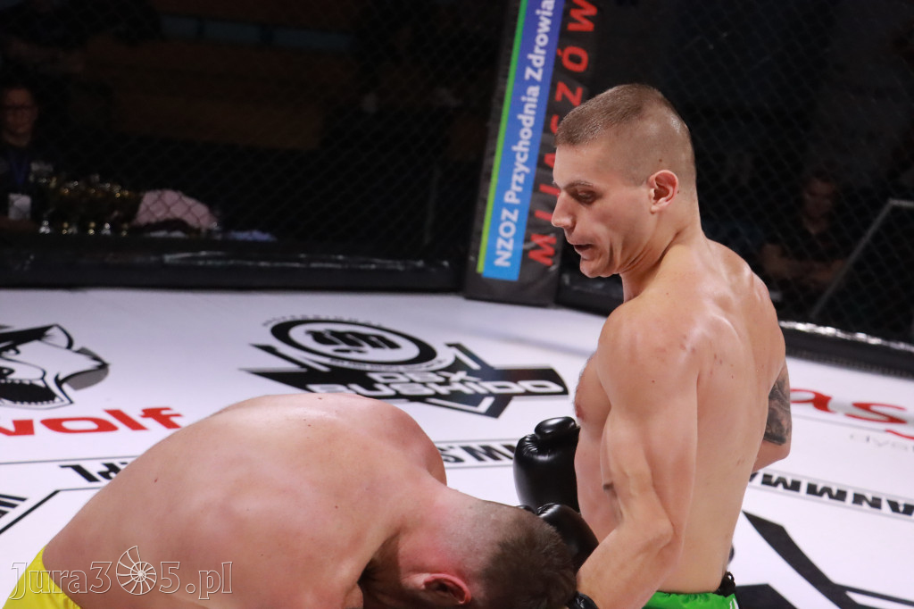 Fotorelacja: 19 Silesian MMA Zawiercie cz. 2