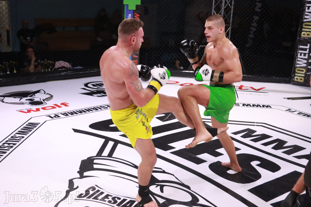 Fotorelacja: 19 Silesian MMA Zawiercie cz. 2