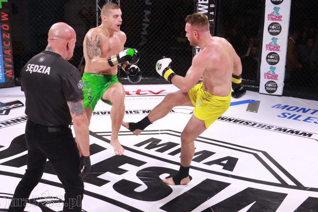 Fotorelacja: 19 Silesian MMA Zawiercie cz. 2