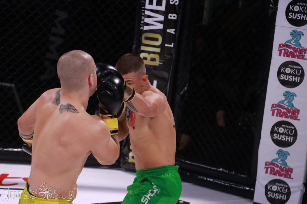Fotorelacja: 19 Silesian MMA Zawiercie cz. 2