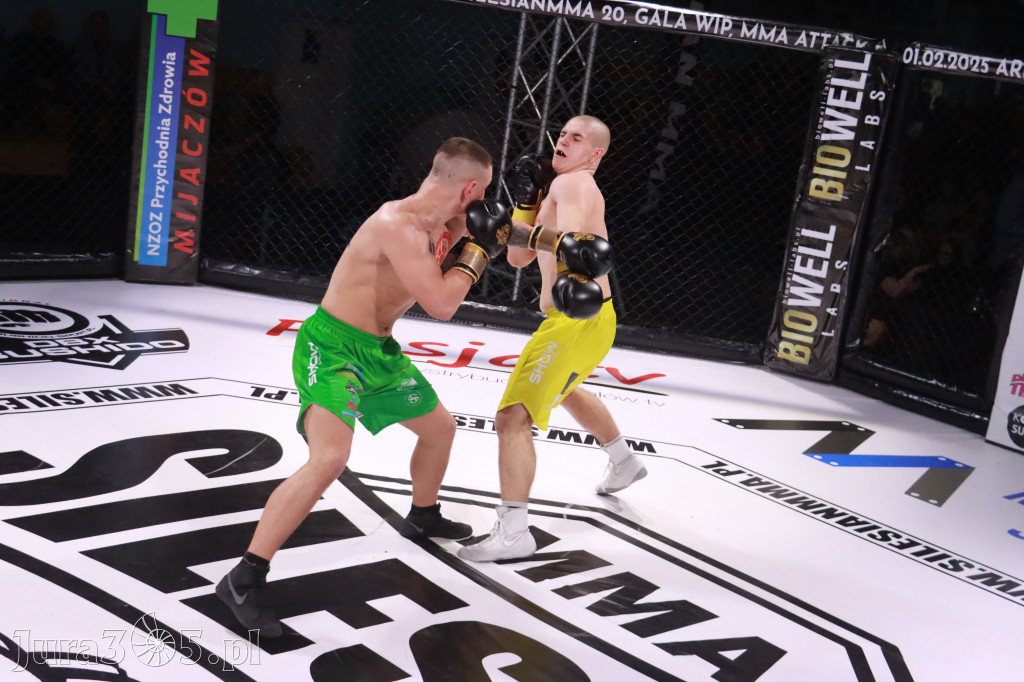 Fotorelacja: 19 Silesian MMA Zawiercie cz. 2
