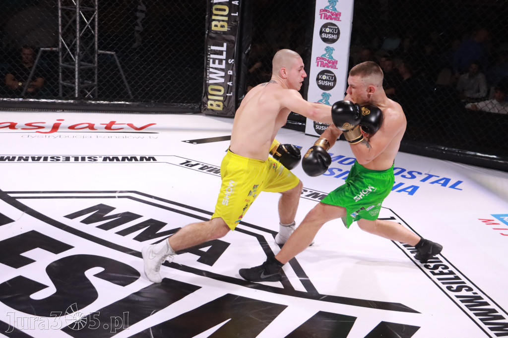 Fotorelacja: 19 Silesian MMA Zawiercie cz. 2