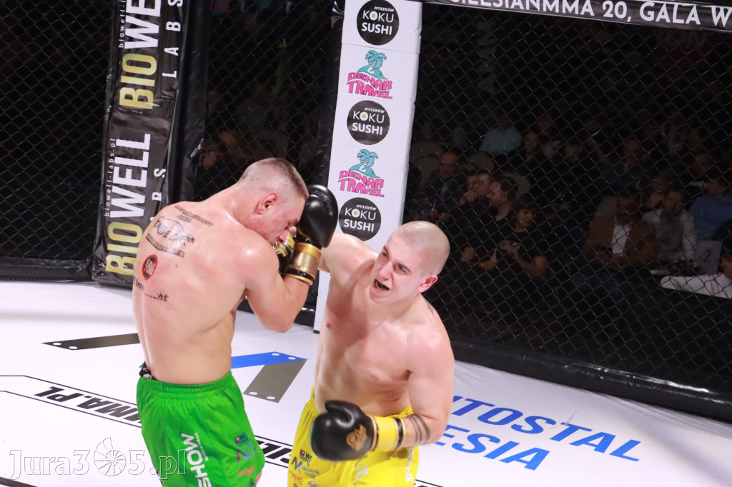 Fotorelacja: 19 Silesian MMA Zawiercie cz. 3