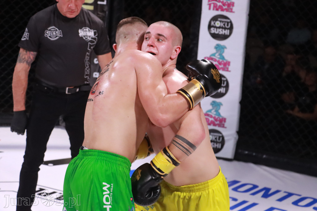 Fotorelacja: 19 Silesian MMA Zawiercie cz. 3