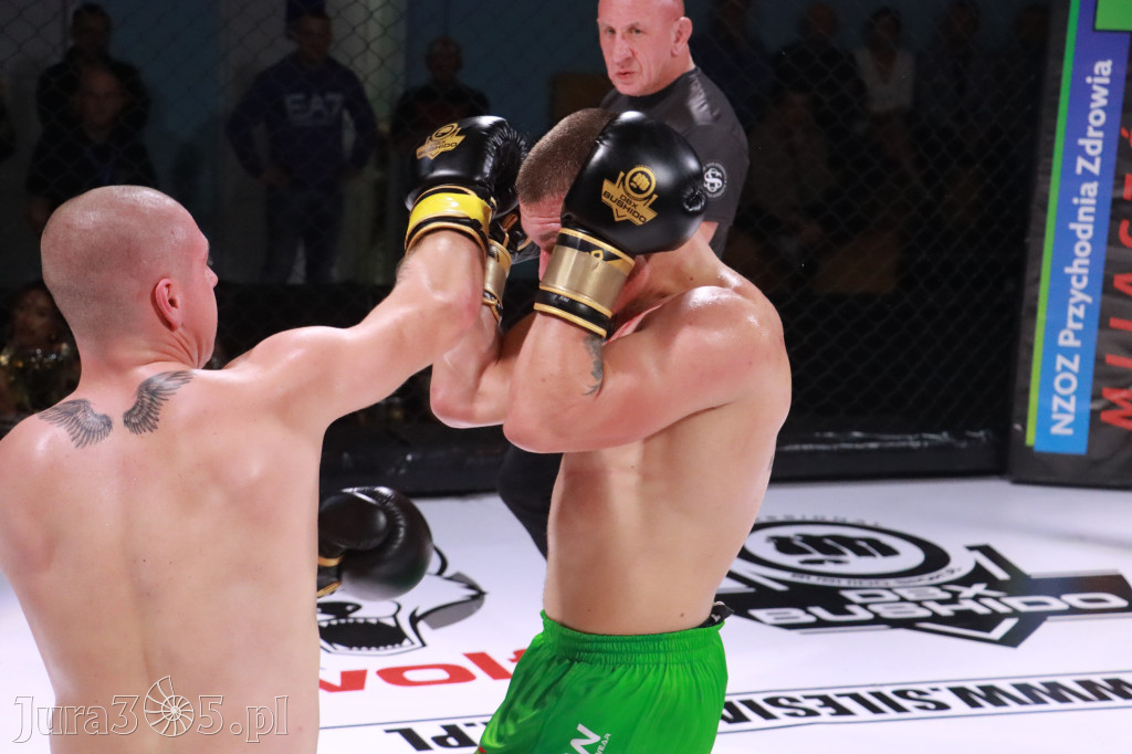 Fotorelacja: 19 Silesian MMA Zawiercie cz. 3