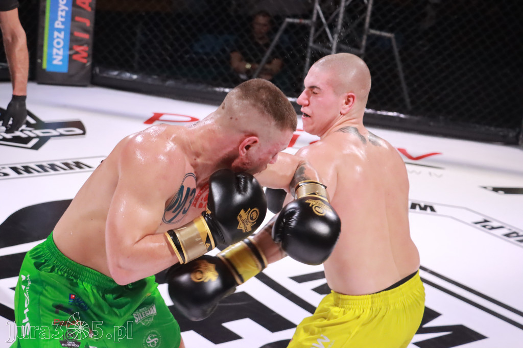 Fotorelacja: 19 Silesian MMA Zawiercie cz. 3