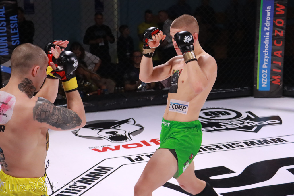 Fotorelacja: 19 Silesian MMA Zawiercie cz. 3