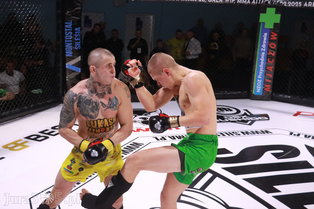 Fotorelacja: 19 Silesian MMA Zawiercie cz. 3
