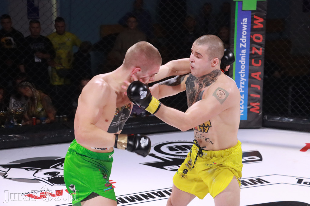 Fotorelacja: 19 Silesian MMA Zawiercie cz. 3