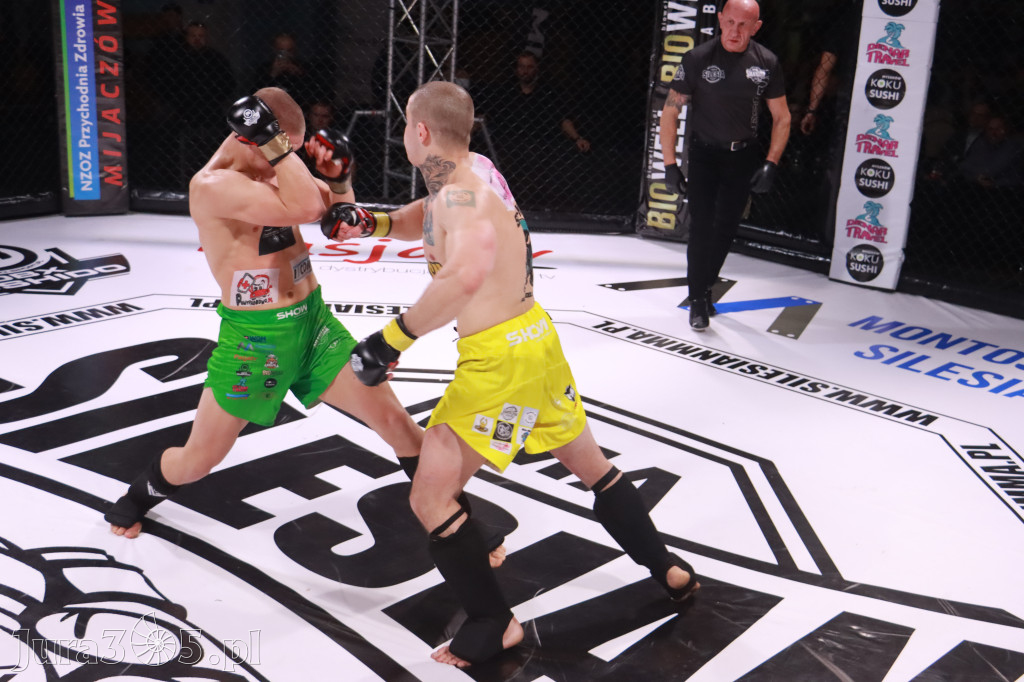 Fotorelacja: 19 Silesian MMA Zawiercie cz. 3