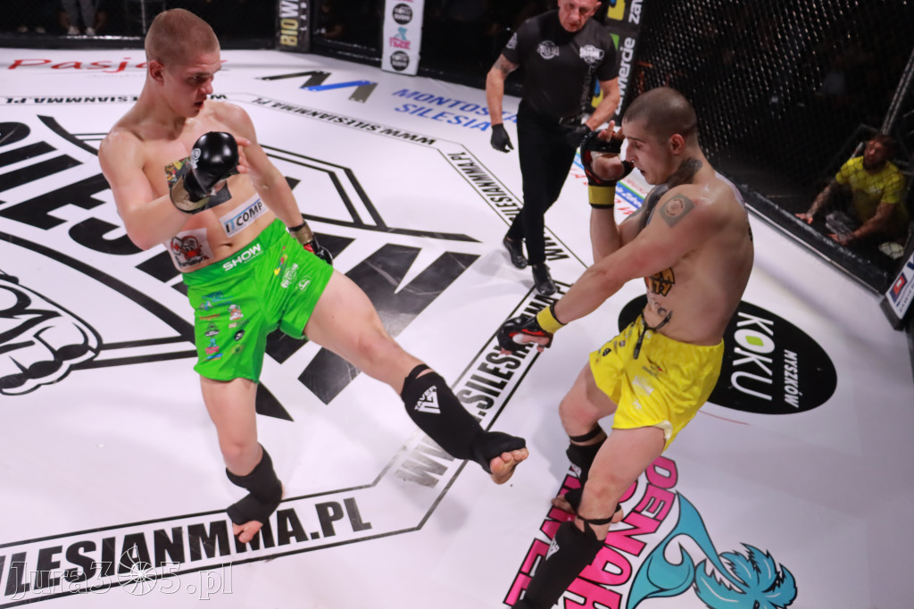 Fotorelacja: 19 Silesian MMA Zawiercie cz. 3