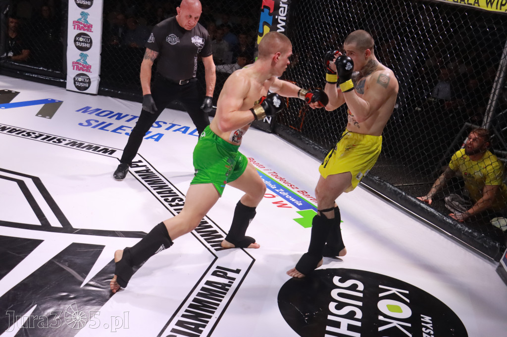 Fotorelacja: 19 Silesian MMA Zawiercie cz. 3