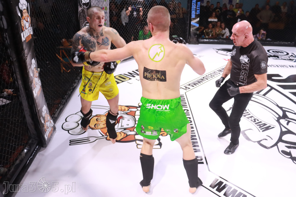 Fotorelacja: 19 Silesian MMA Zawiercie cz. 3