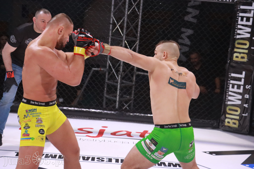 Fotorelacja: 19 Silesian MMA Zawiercie cz. 3