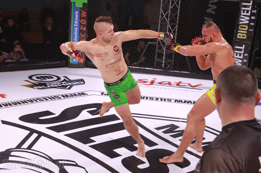 Fotorelacja: 19 Silesian MMA Zawiercie cz. 3