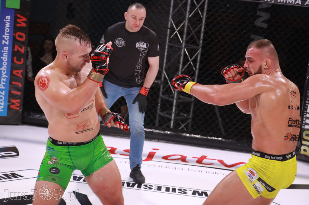 Fotorelacja: 19 Silesian MMA Zawiercie cz. 3