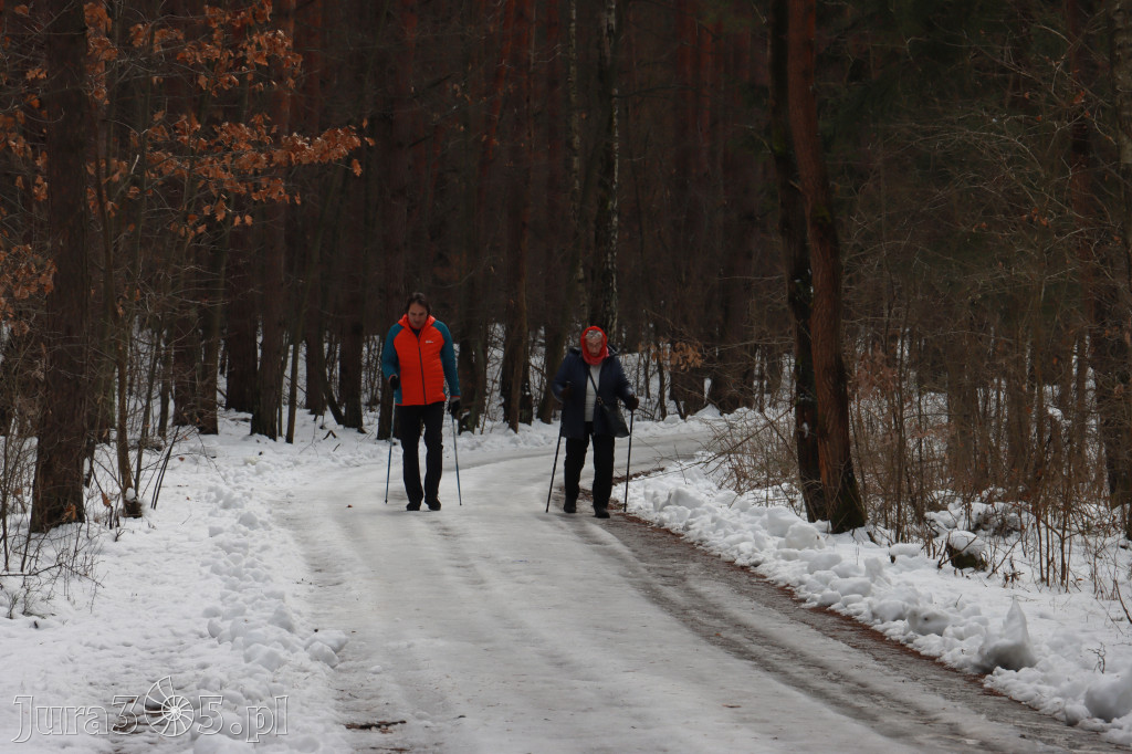 Fotorelacja: Karnawałowy Marsz Nordic Walking w Zawierciu