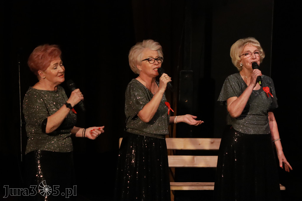 Fotorelacja: Walentynkowo-Musicalowy zawrót głowy w MOK Zawiercie.