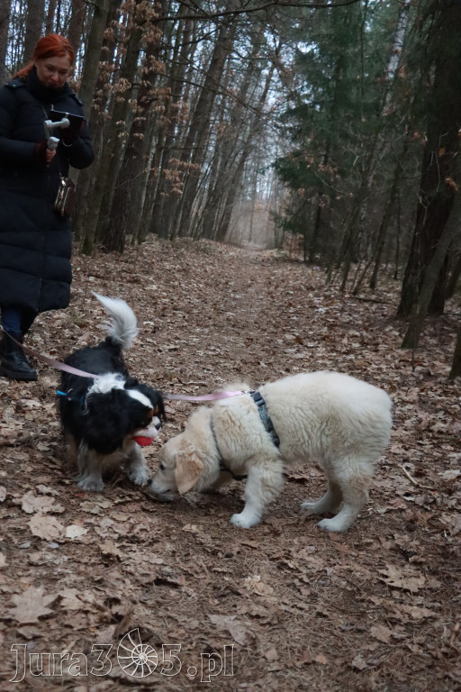 Fotorelacja: Pies najlepszym towarzyszem człowieka!