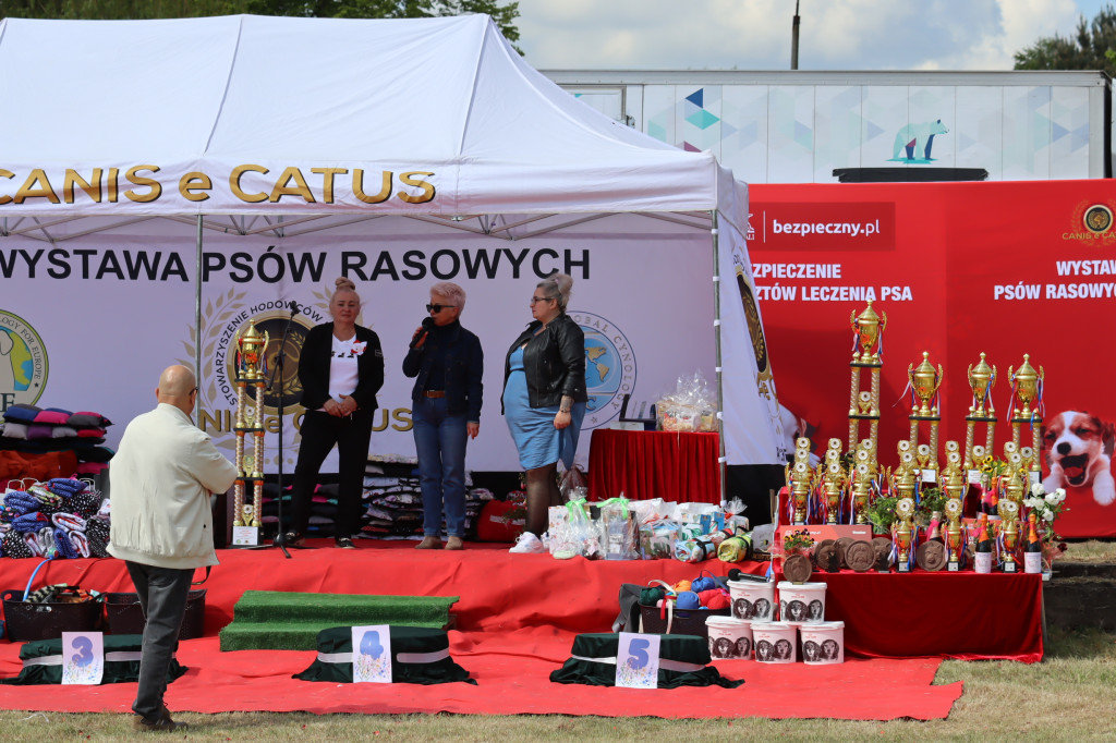 Fotorelacja: Międzynarodowa Wystawa Psów Rasowych w Jastrzębiu