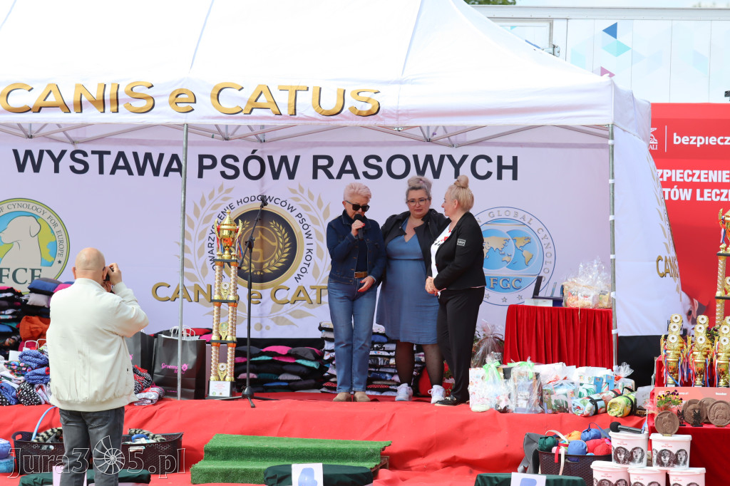 Fotorelacja: Międzynarodowa Wystawa Psów Rasowych w Jastrzębiu