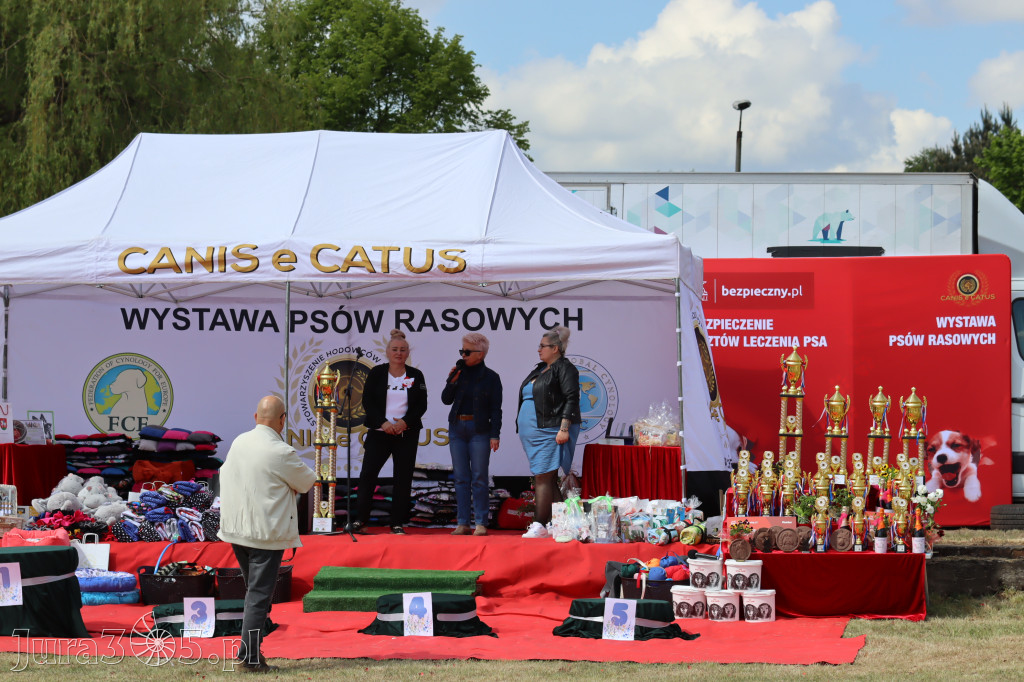 Fotorelacja: Międzynarodowa Wystawa Psów Rasowych w Jastrzębiu