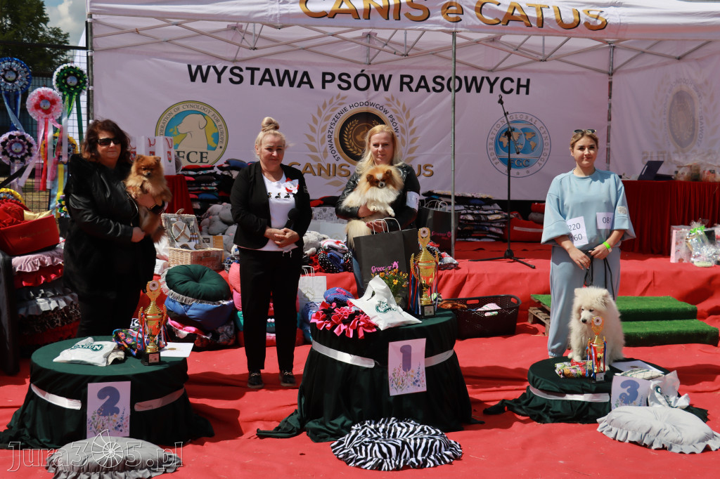 Fotorelacja: Międzynarodowa Wystawa Psów Rasowych w Jastrzębiu