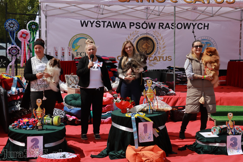Fotorelacja: Międzynarodowa Wystawa Psów Rasowych w Jastrzębiu