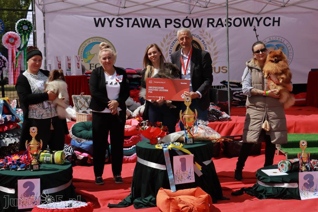 Fotorelacja: Międzynarodowa Wystawa Psów Rasowych w Jastrzębiu