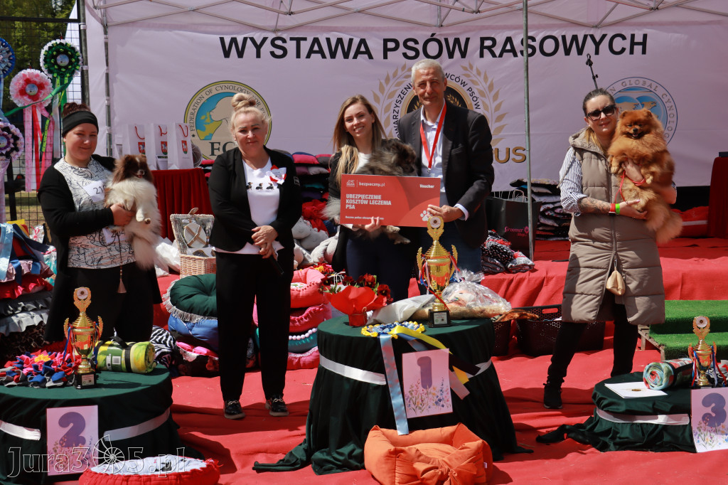 Fotorelacja: Międzynarodowa Wystawa Psów Rasowych w Jastrzębiu