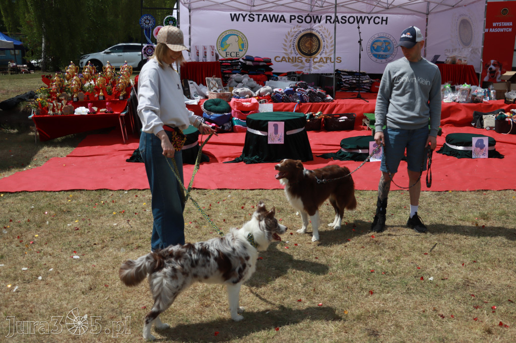 Fotorelacja: Międzynarodowa Wystawa Psów Rasowych w Jastrzębiu