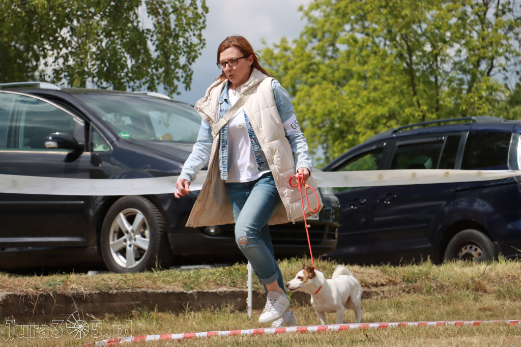 Fotorelacja: Międzynarodowa Wystawa Psów Rasowych w Jastrzębiu