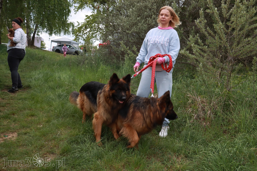 Fotorelacja: Międzynarodowa Wystawa Psów Rasowych w Jastrzębiu