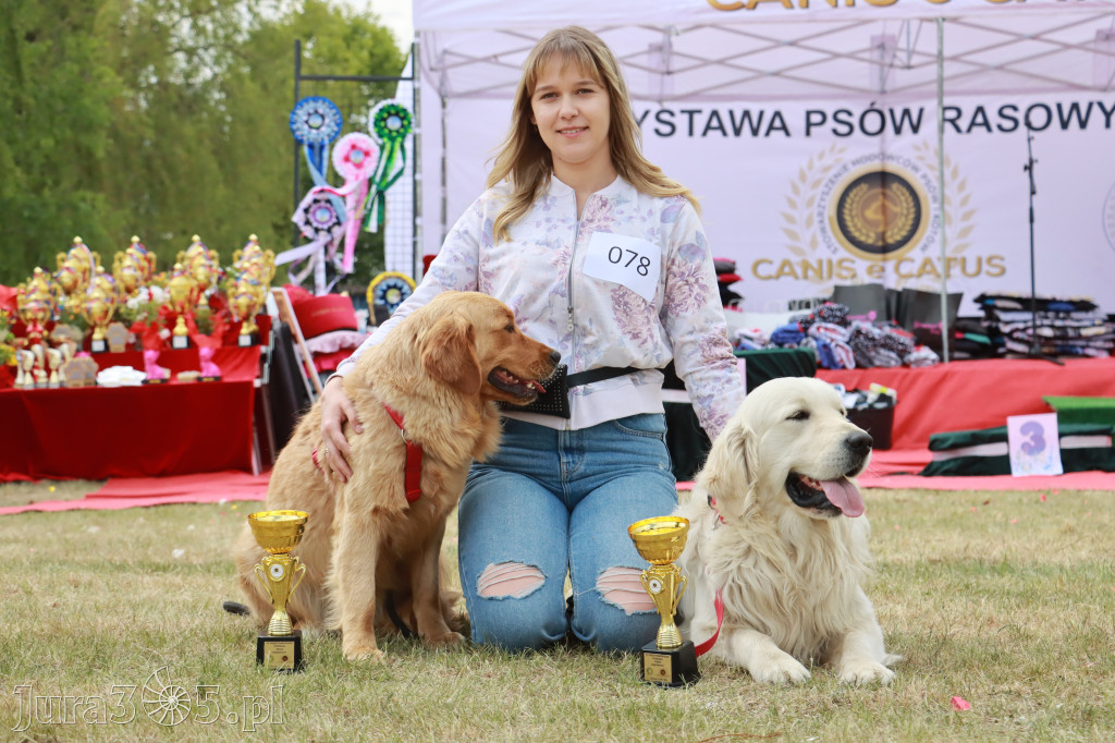 Fotorelacja: Międzynarodowa Wystawa Psów Rasowych w Jastrzębiu