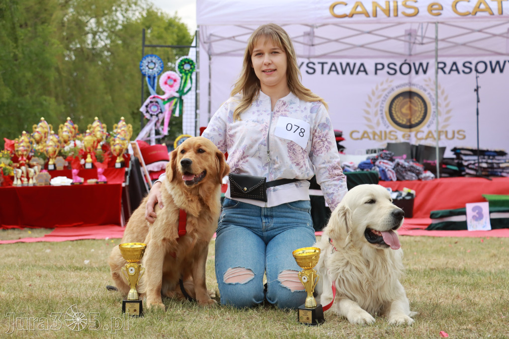 Fotorelacja: Międzynarodowa Wystawa Psów Rasowych w Jastrzębiu