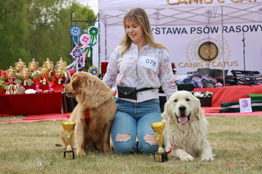 Fotorelacja: Międzynarodowa Wystawa Psów Rasowych w Jastrzębiu