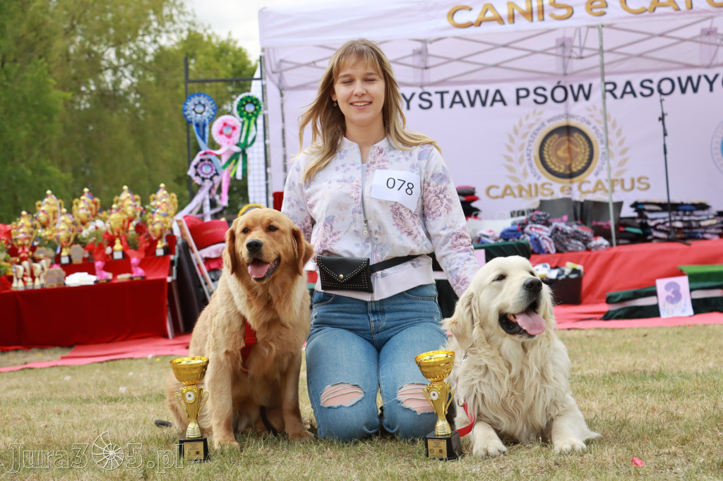 Fotorelacja: Międzynarodowa Wystawa Psów Rasowych w Jastrzębiu