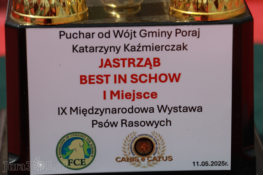 Fotorelacja: Międzynarodowa Wystawa Psów Rasowych w Jastrzębiu