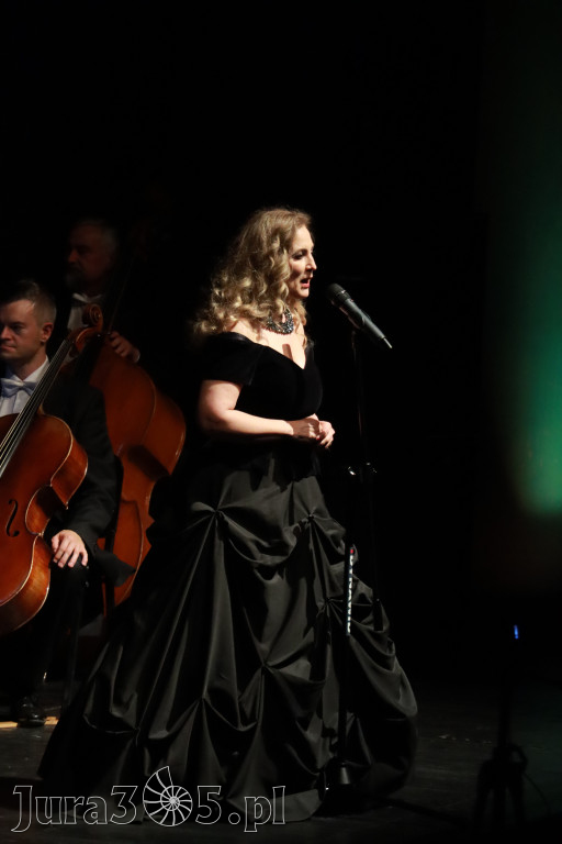 Fotorelacja II: Artyści Miastu - 110 lat Zawiercia. Koncert w Mok Zawiercie