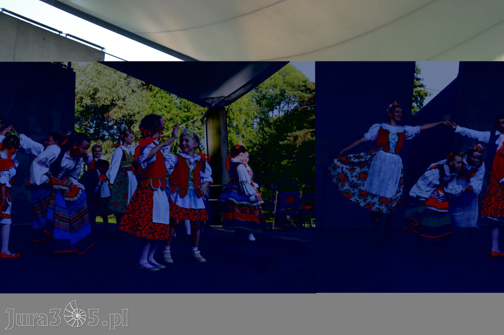 Fotorelacja I: Muzyczne Wianki w Myszkowie