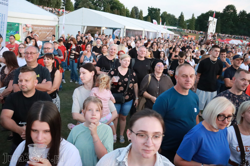 Fotorelacja VII: Tłumy świętują 110 lat Miasta Zawiercie