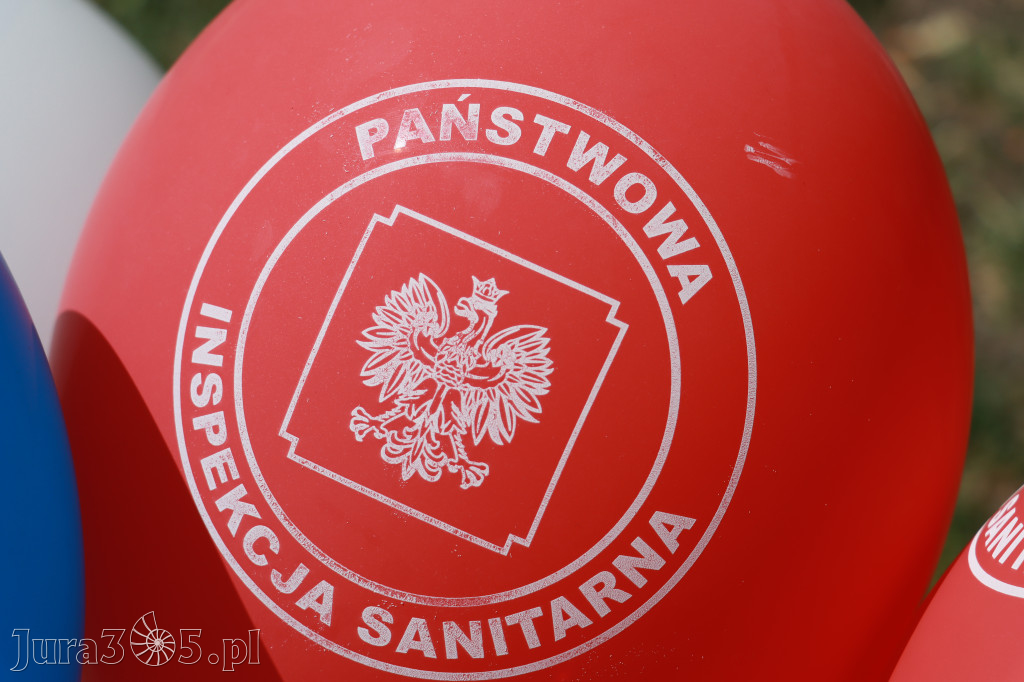 Fotorelacja VIII: Piknik w Parku Miejskim na zakończenie Dni Zawiercia