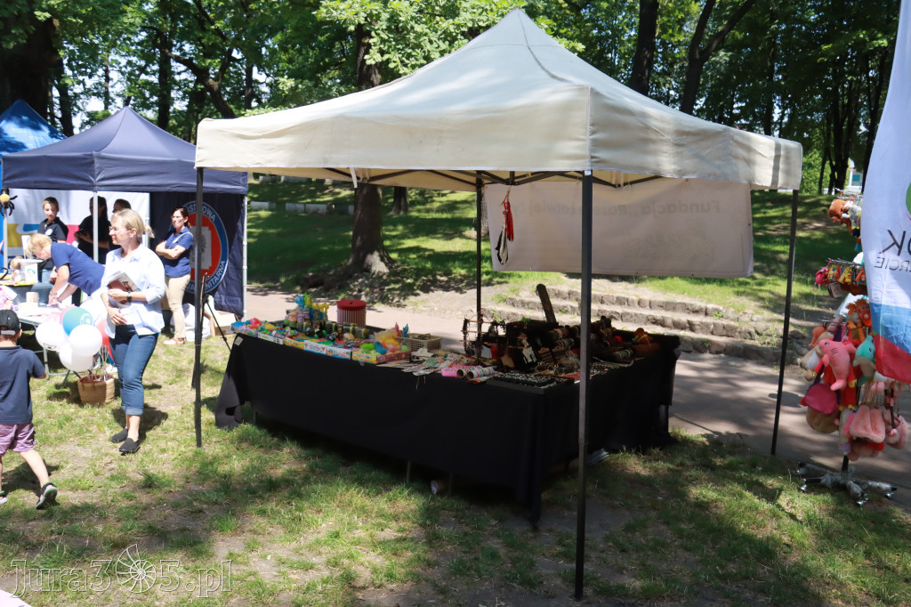 Fotorelacja VIII: Piknik w Parku Miejskim na zakończenie Dni Zawiercia