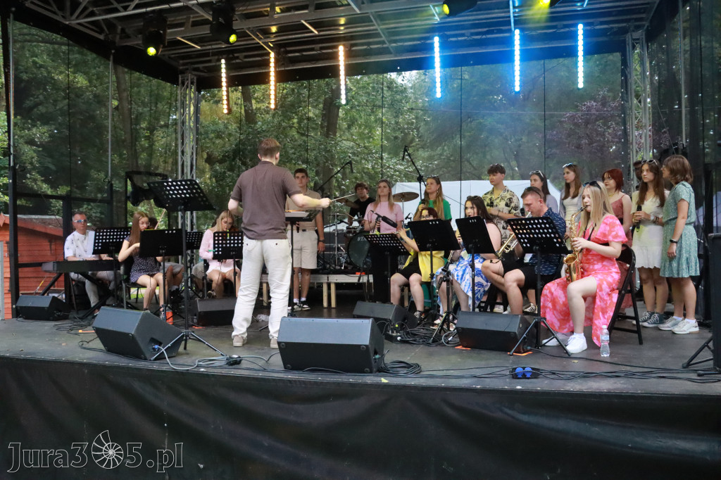 Fotorelacja VIII: Piknik w Parku Miejskim na zakończenie Dni Zawiercia