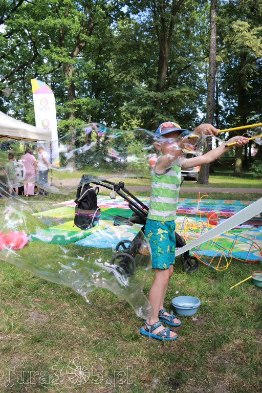 Fotorelacja VIII: Piknik w Parku Miejskim na zakończenie Dni Zawiercia