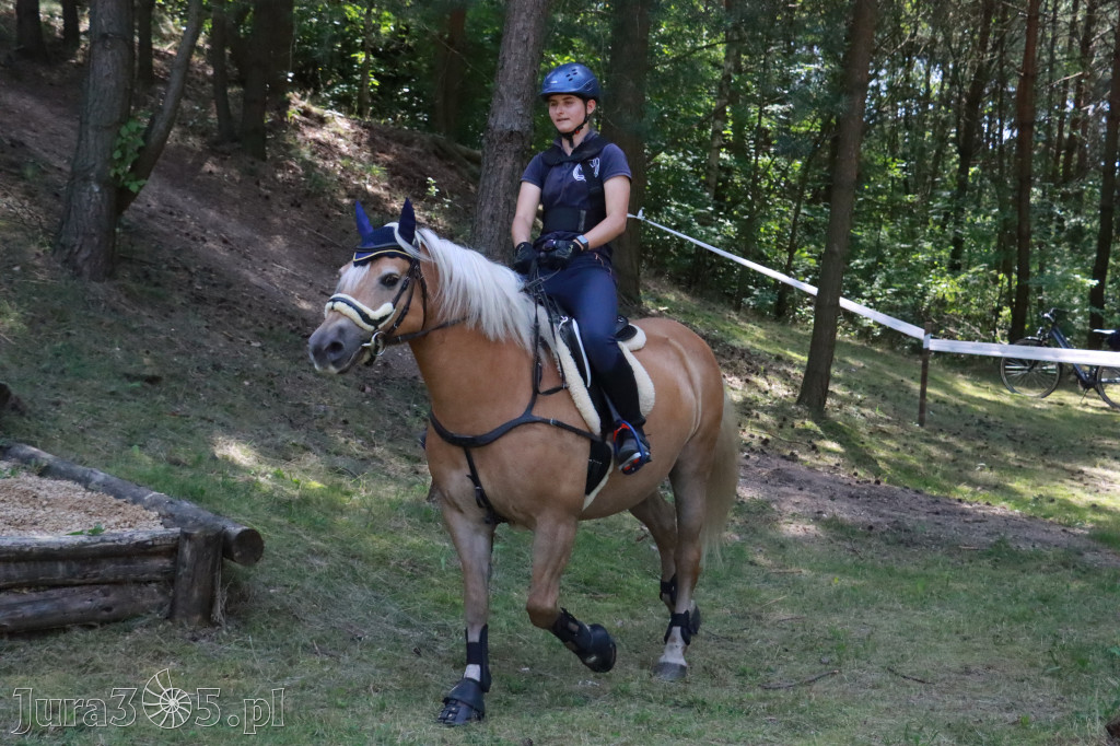 Fotorelacja V: Sprawnościowy Konkurs Jeździecki - Festiwal z Kopyta w Gniazdowie